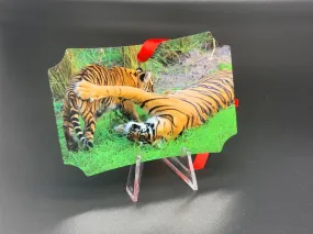 Tigers Metal Photo Ornament