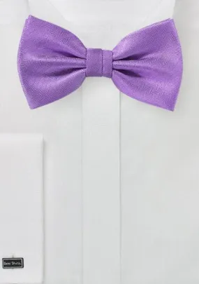 Violet Herringbone Bowtie